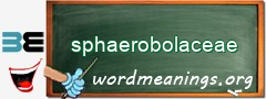 WordMeaning blackboard for sphaerobolaceae